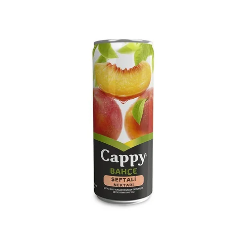 Cappy Şeftali 330 Ml